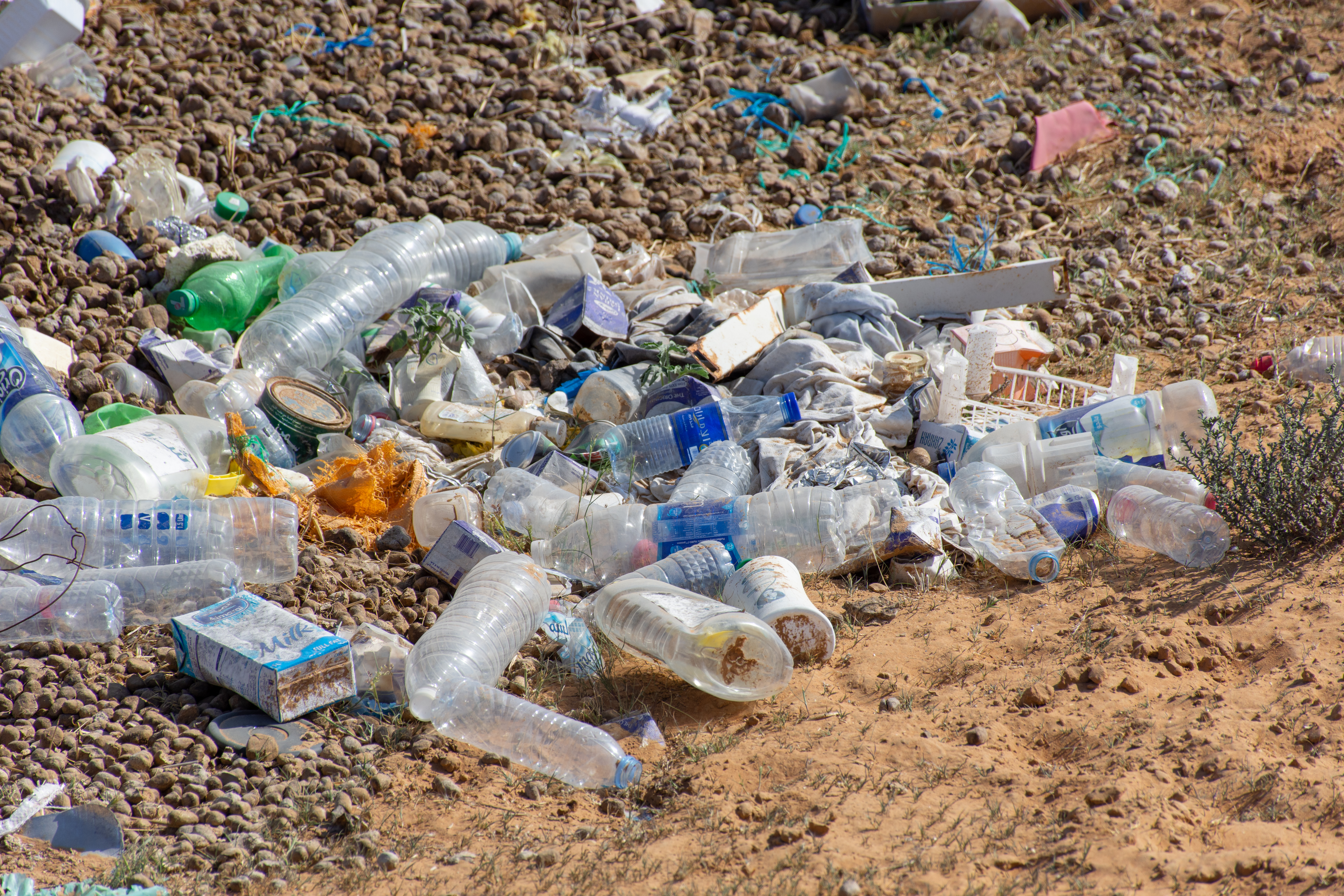 Pick up garbage