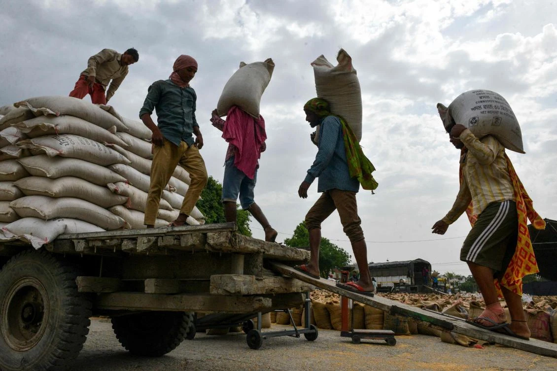 Indian labourers load sacks of wheat grain onto a trailer at a local distribution point on the outskirts of Amritsar on April 30, 2019, on the eve of the International Labour Day celebrated on May 1. / AFP / NARINDER NANU