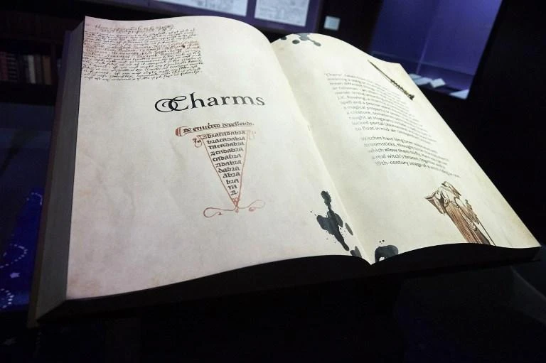 Catholic priests burn Harry Potter books in Poland