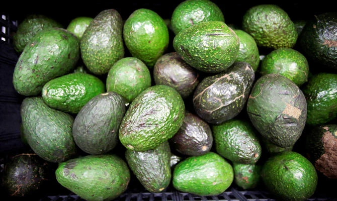 Avocado shortages, virgin margaritas: Border shutdown would hit American palates