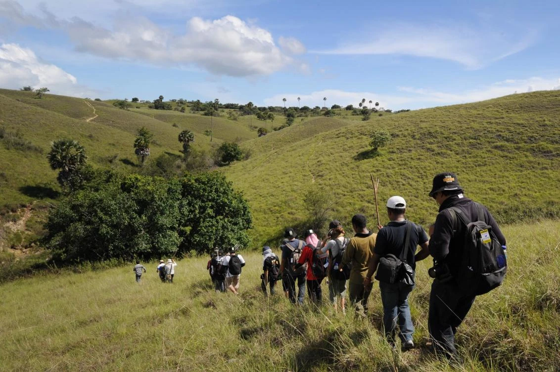 Indonesia eyes komodo dragon island closure to thwart smuggling