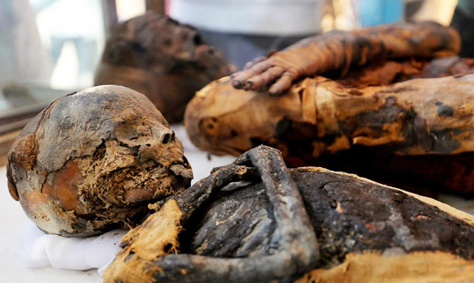 Mummified mice and more in latest Egyptian tomb discovery