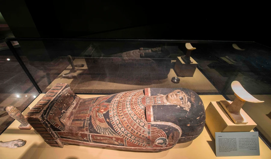 Tomb with 500 mummified animals discovered in Egypt