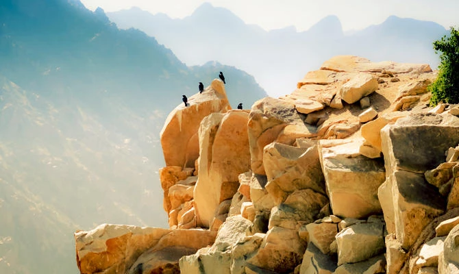 Saudi tourism authority seeks to boost number of Saudis in tourism sector