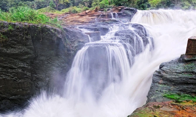 Saudi tourist falls, drowns in Nile while taking selfie