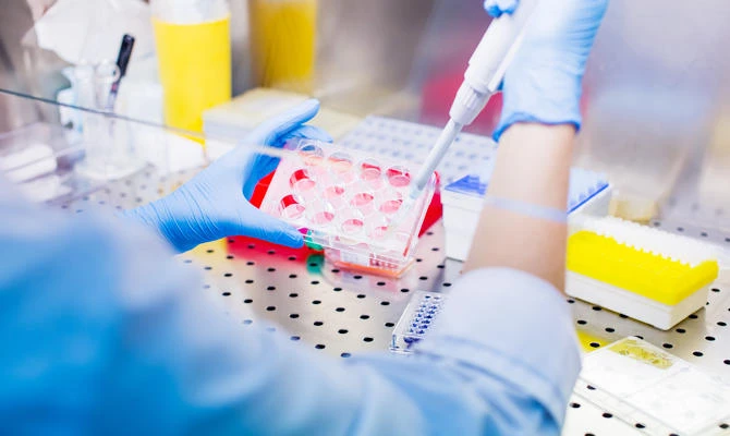 Saudis urged to become stem cell donors