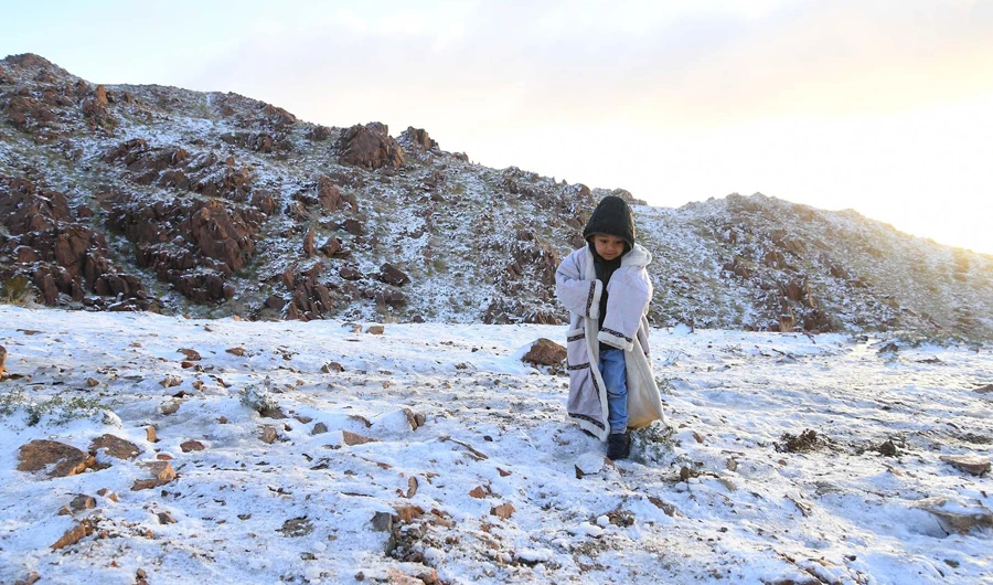 Snowfall in the Saudi region of Tabuk in late March 2019. (SPA)