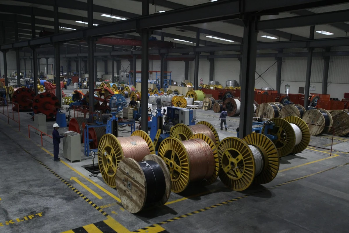 A worker monitors automatic copper wire unit at a cables plant in Lahore, Pakistan, March 24, 2017. Pakistan is facing tough economic challenges as its new team of financial managers reach out to international institutions to secure further loans. (Reuters)