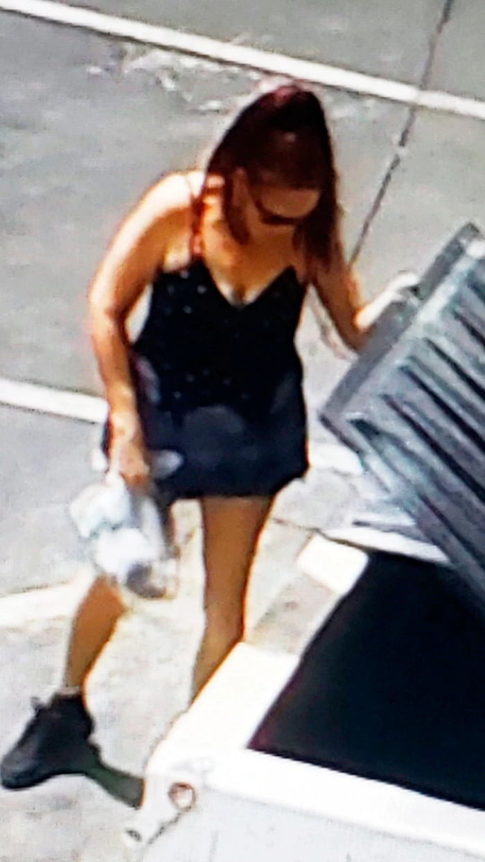 California woman charged with dumping puppies in trash