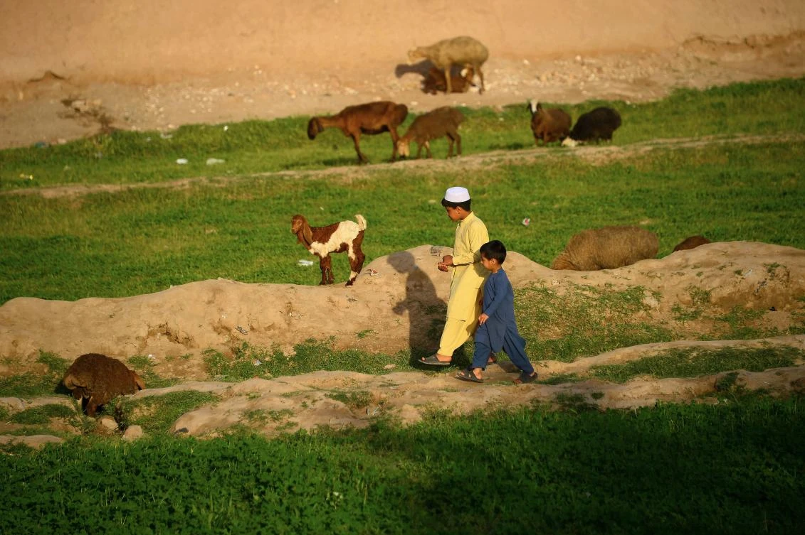 Afghans began moving to Iran in large numbers after the Soviet invasion in 1979 and they continued to migrate for work through decades of conflict. (AFP)