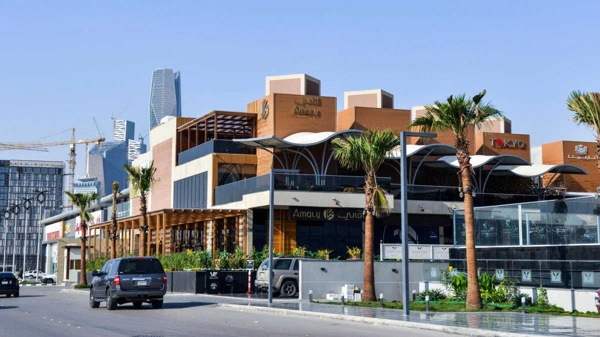Arabian Centers owns 19 malls, making it the leading owner and operator of shopping malls in Saudi Arabia. (AFP)