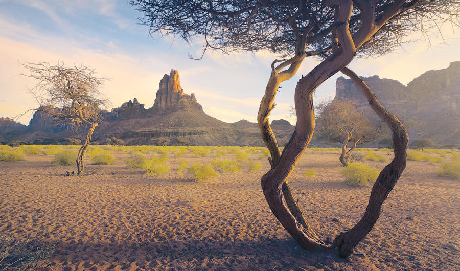 ThePlace: Stunning landscapes make Saudi Arabia's Wadi Rum a must-see tourist destination