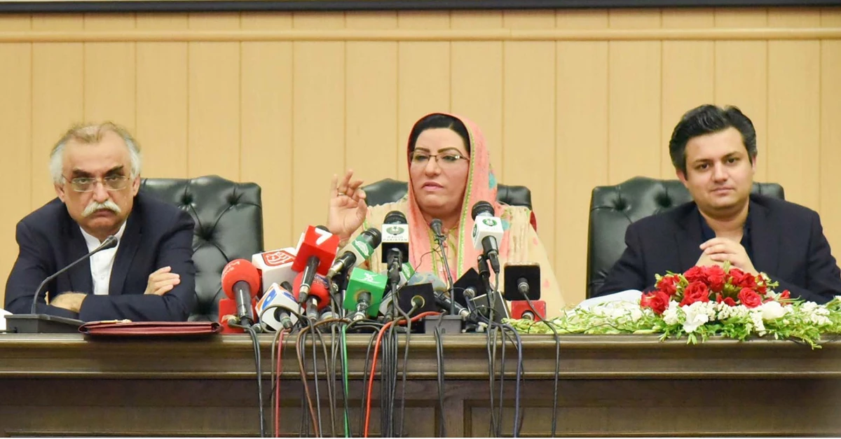 Tax amnesty to regularize undeclared assets approved by Pakistan cabinet