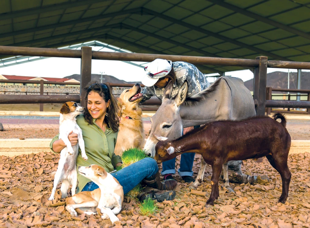 Meet Saudi Arabia’s female horse whisperer