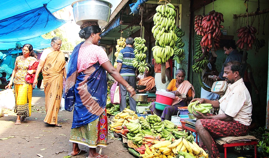 The lifting of the ban is one of the major developments as far as the fruit and vegetable industries of Kerala are concerned, chamber of commerce member says. (Shutterstock)