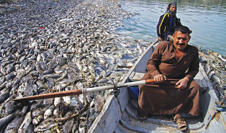 UN campaign draws attention to the world’s ailing oceans
