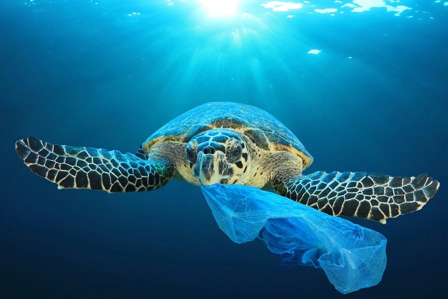 Dubai Airports pledges to ban single-use plastic in environmental push