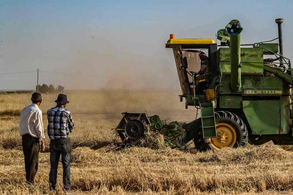 A combine harvester harvesting a wheat field in Syria’s northeastern region of Hasakah.egion of Hasakah. (File/AFP)