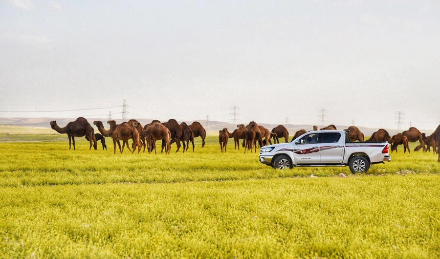 Jubail is home to a company that won the environmental initiative award after recycling 60,000 tons of waste in 2015. (SPA)