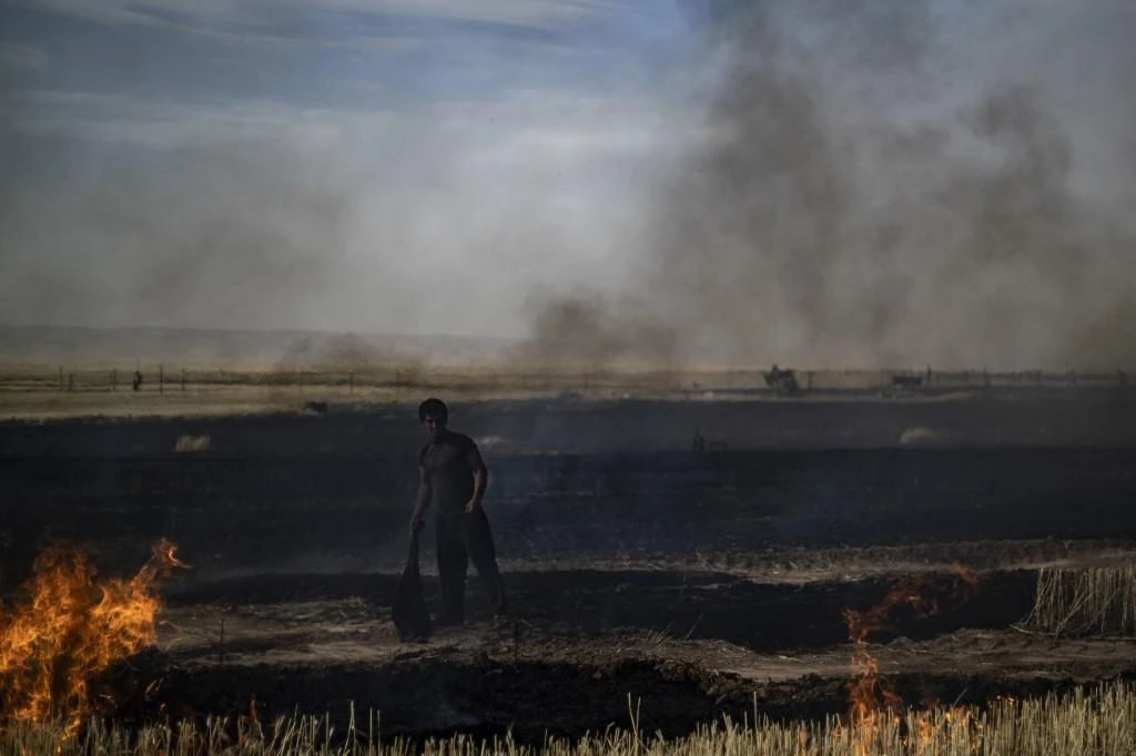 Field fires in Syria's Hasakeh kill 10: monitor
