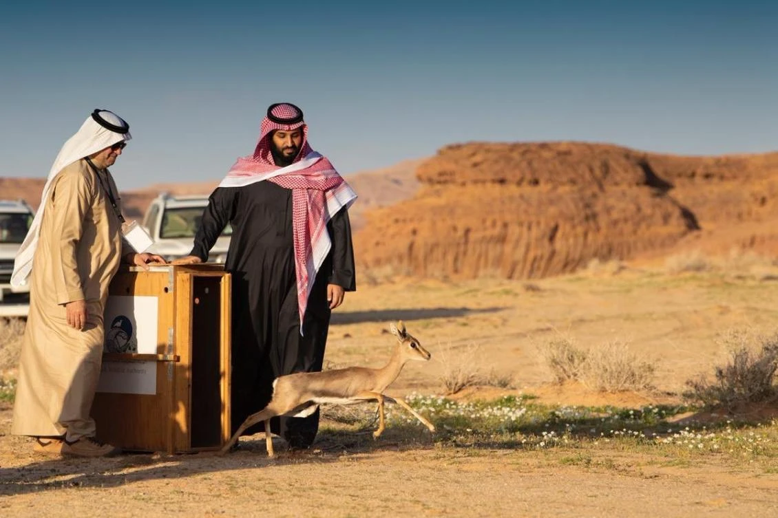 Scholarships abroad for 330 students as part of ambitious Saudi tourism project