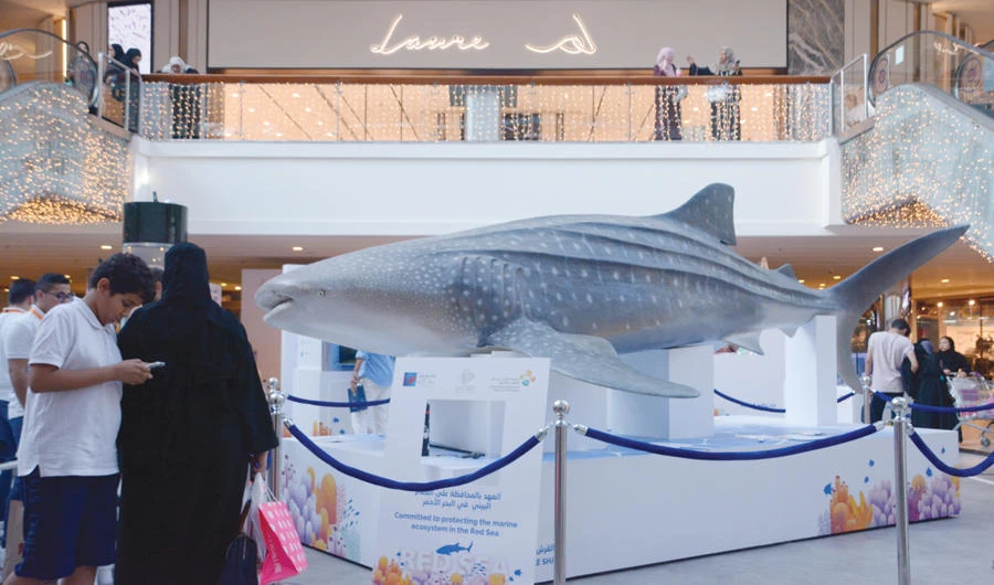 Saudi Arabia’s Red Sea exhibition aims to protect region’s vital marine environment