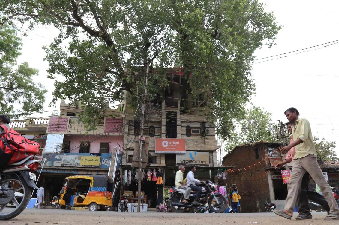 The thick trunk of the 150-year-old tree is the central feature of Kesharwanis’ residence in the Indian city of Jabalpur. (AFP)
