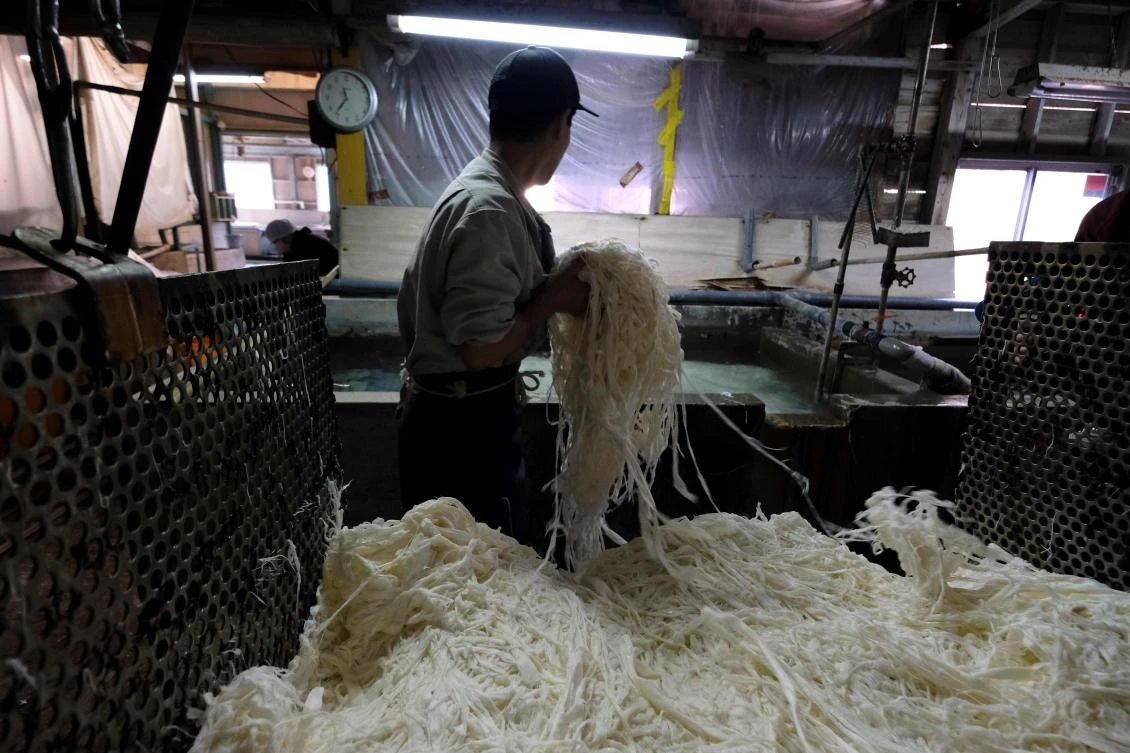This picture taken on March 15, 2019 shows a worker putting steamed kozo plants in a water tank during the “washi” paper manufacturing process at the Hidaka Washi factory in Hidaka, Kochi prefecture, some 640 kilometers (400 miles) southwest of Tokyo. (AFP/Kazuhiro Nogi)