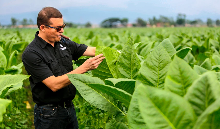 Nicaragua puffing up status in rarefied world of premium cigars