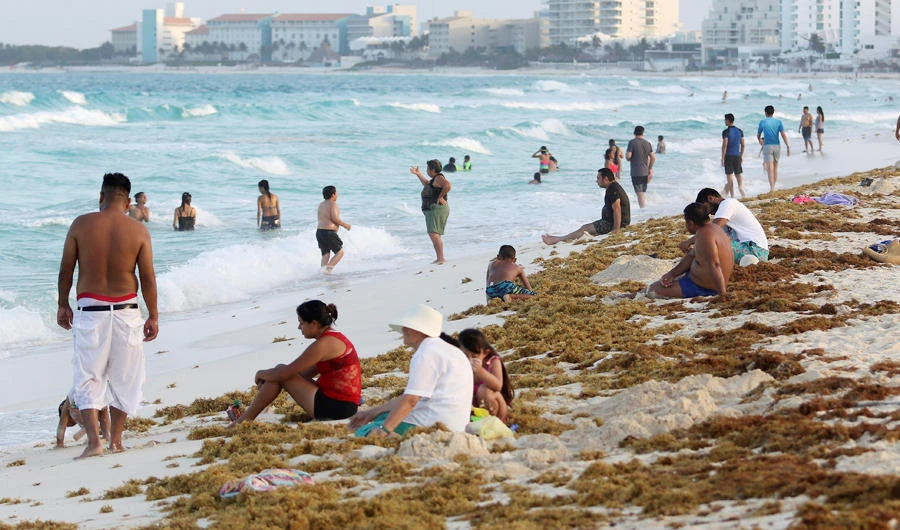 Tourists are seen on a beach covered with seaweed in Cancun, Mexico June 24, 2019. (REUTERS)