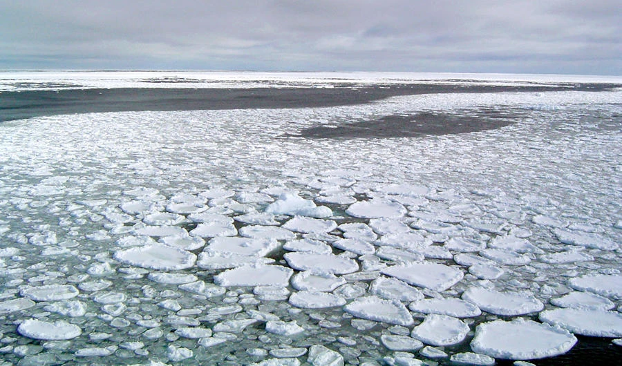 Antarctic sea ice in dizzying decline since 2014: study