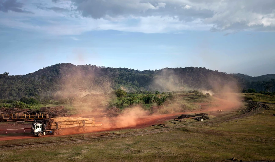 Gabon's timber industry reeling after corruption scandal