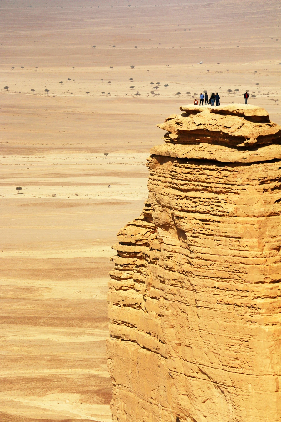 Saudi boom from pilgrims, leisure and business visitors