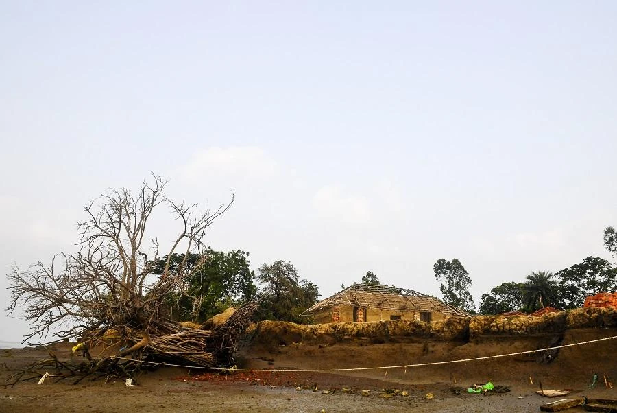 Biodiversity loss is happening at an accelerated rate. (File/AFP)