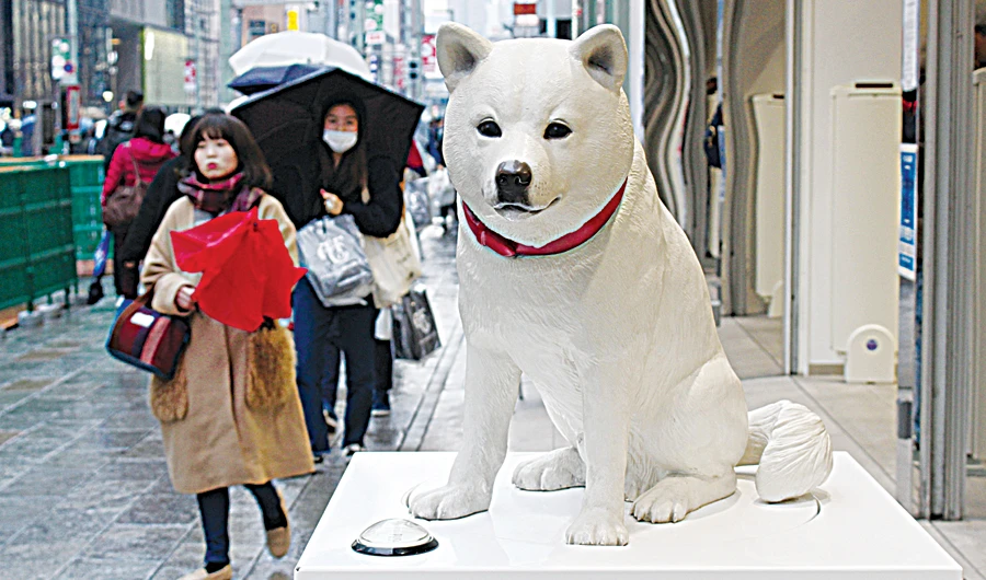 An animatronic model of SoftBank’s famous dog, known as Otosan, which stands in front of the company’s outlet in Ginza, in central Tokyo. (Shutterstock)