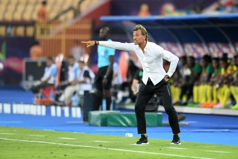 Saudi Arabia appoint Herve Renard as coach