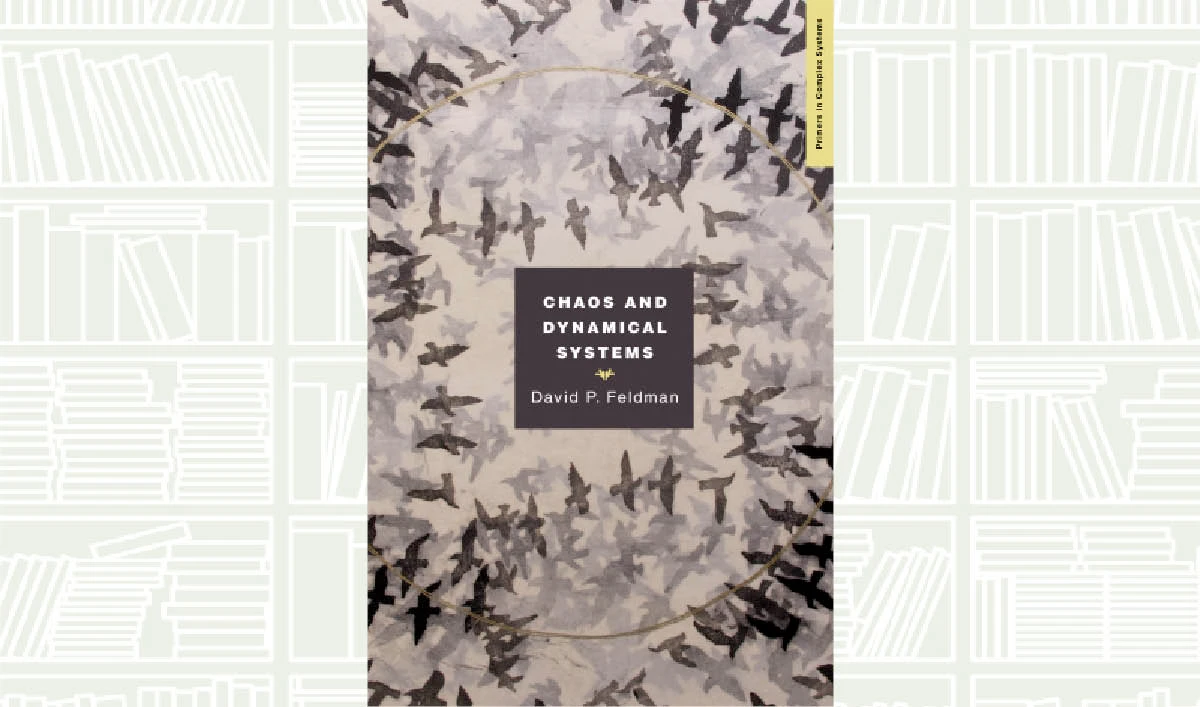What We Are Reading Today: Chaos and Dynamical Systems by David P. Feldman
