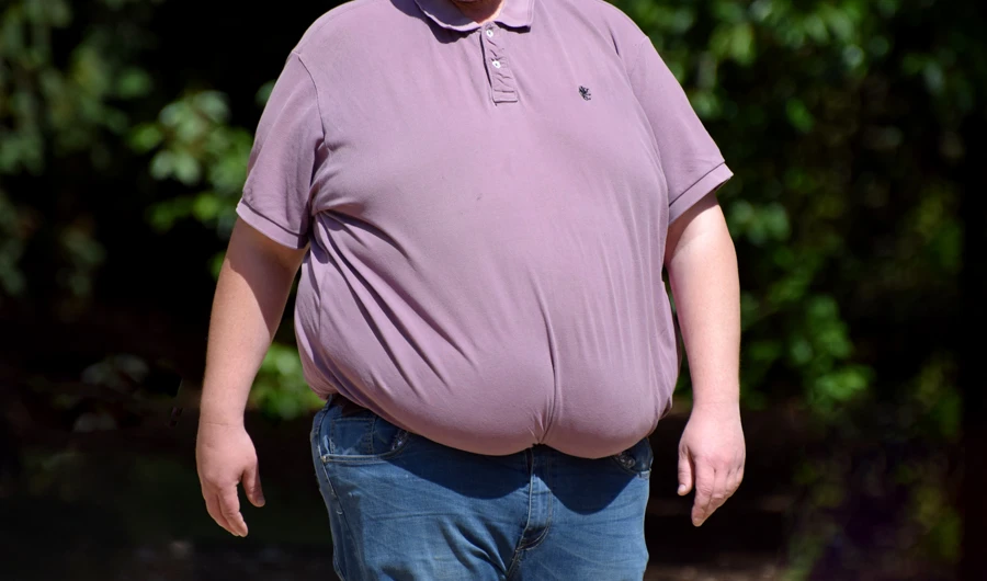 Lebanese officials aim to shed light on the health dangers associated with obesity and how to prevent them. (Shutterstock)