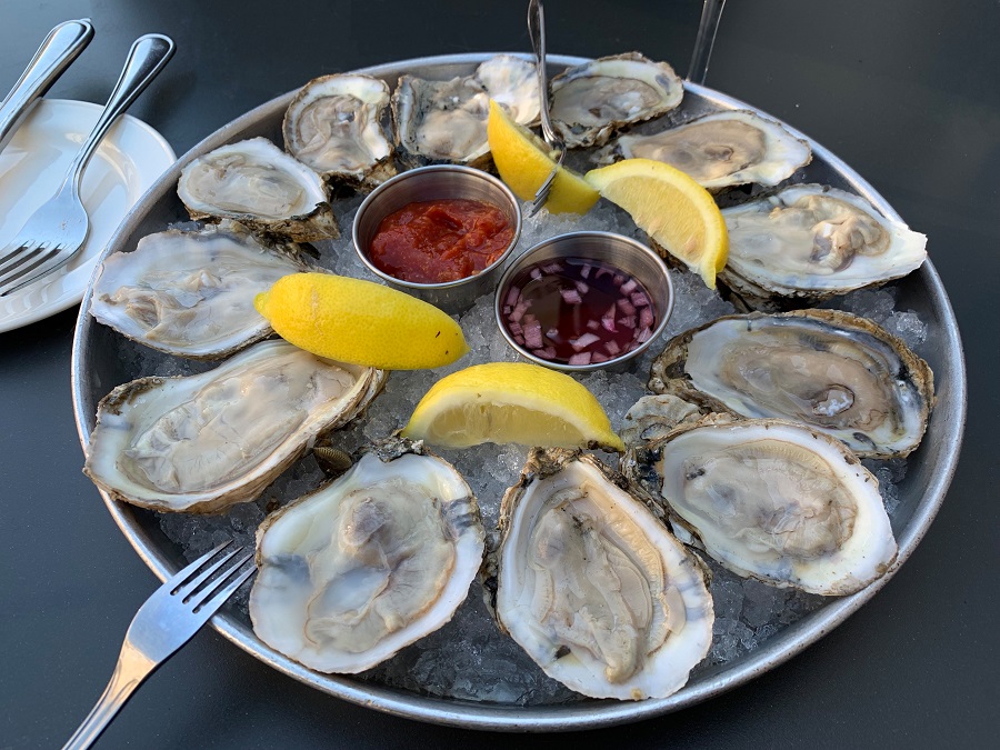 Oysters