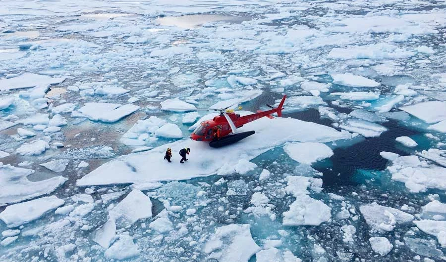 An Arctic “miracle“: Icebreaker salvages lost recordings of Beluga whales
