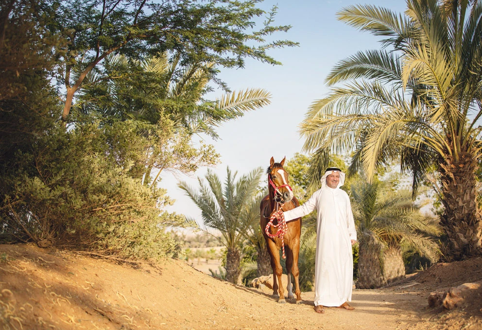 Saudi Arabia to stage world’s richest race in 2020