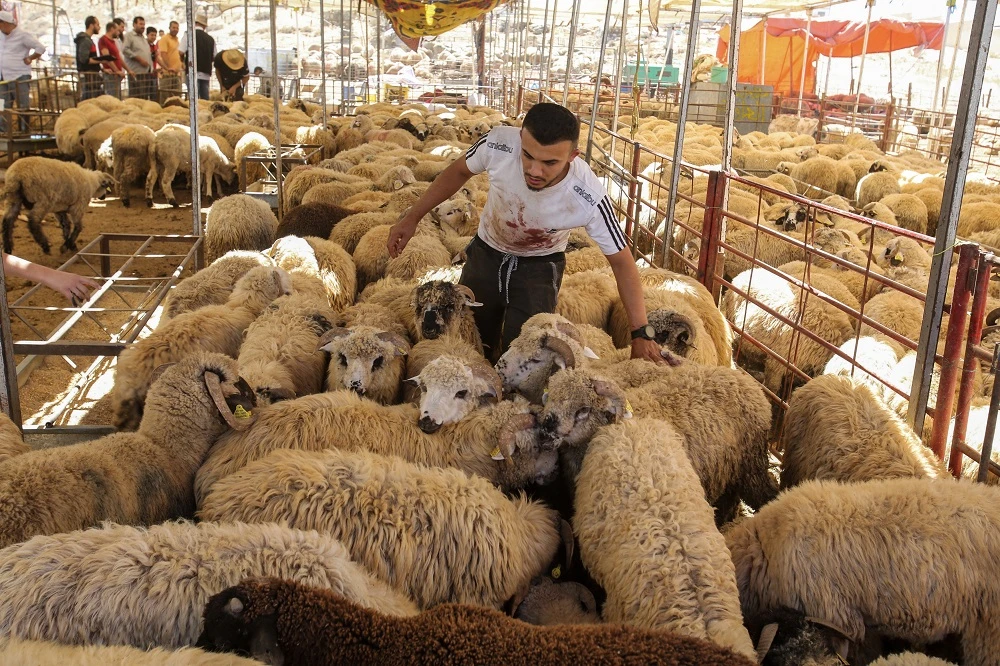 Muslims sacrifice animals such as goats and calves on Eid Al-Adha for the feast. (File/AFP)