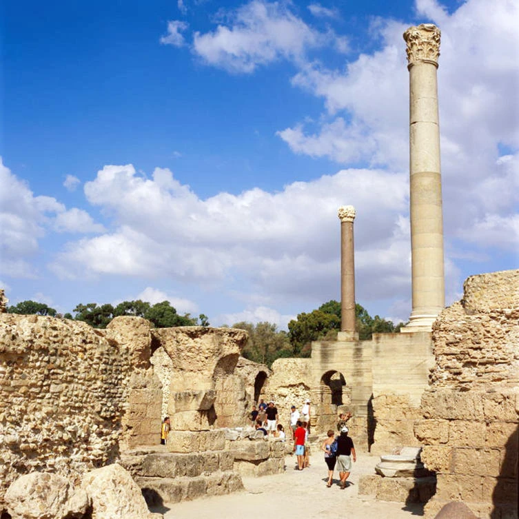 A view of the archaeological site of Carthage, Tunisia. (Courtesy of UNESCO)