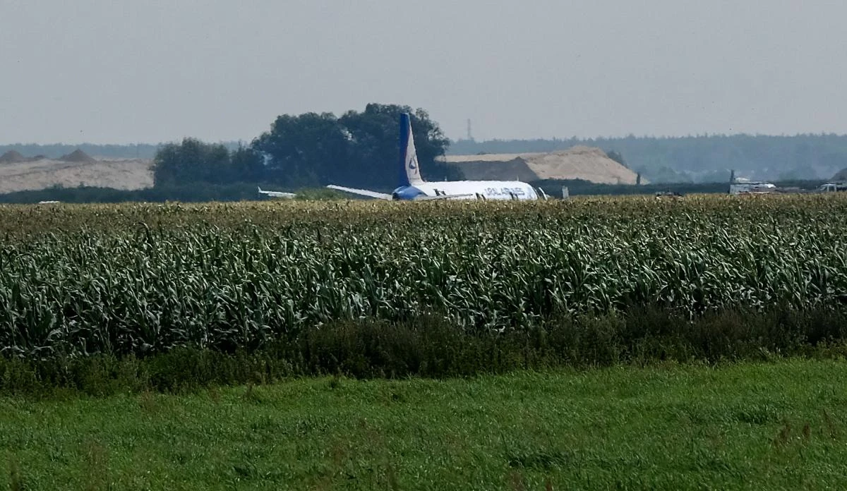 A view shows the Ural Airlines A321 plane after a hard landing on a corn field near Moscow's Zhukovsky airport on August 15, 2019. A Russian pilot was being hailed as a hero on August 15, 2019 for landing an Airbus carrying more than 230 people in a Moscow corn field after a bird strike. / AFP / Yuri KADOBNOV
