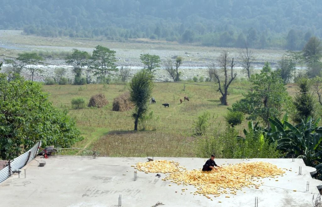 A boy dries corn on his house roof in Maddar on Pakistan’s Line of Control in Kashmir in this October 2, 2016 photo. (AFP)