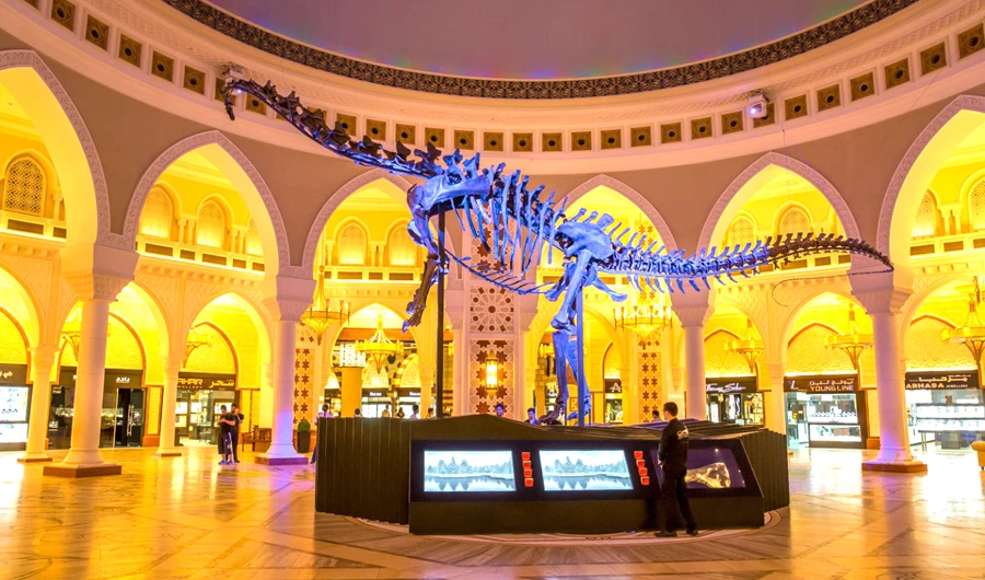The 24.4-meter-long by 7-meter-high skeleton, which dates back to the Jurassic period, is the first of its kind in the world to be installed at the Dubai Mall.