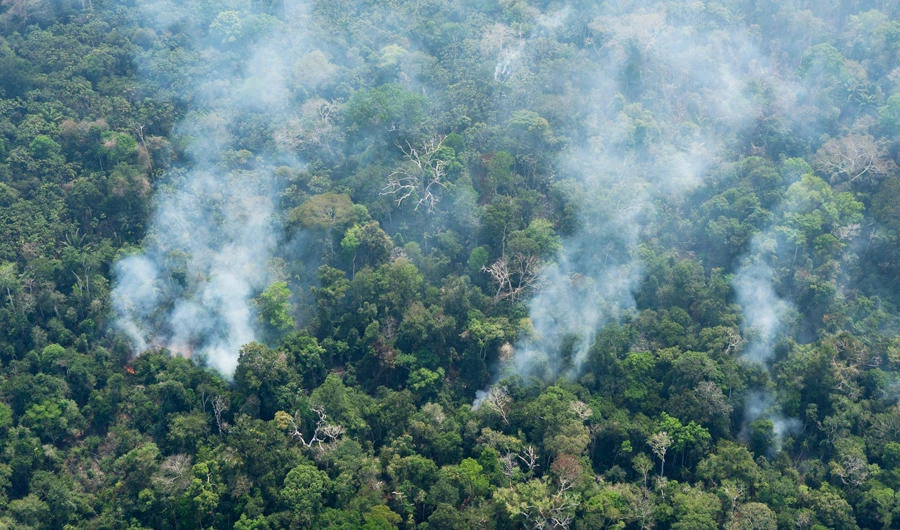 Bolsonaro to send army to fight huge fires in the Amazon