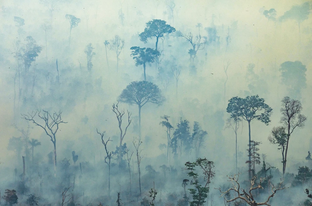 The number of fires reported since January this year represents an 85 percent jump from the same point last year, with illegal fires for cattle ranching taking the blame. (AFP)