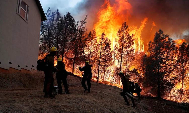 G7 pledges millions to help fight Amazon fires