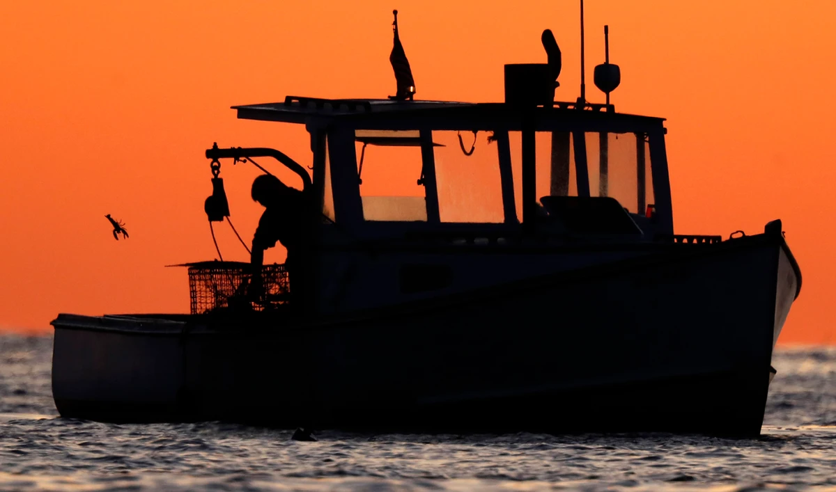 US exports to lobster-loving China go off cliff amid tariffs